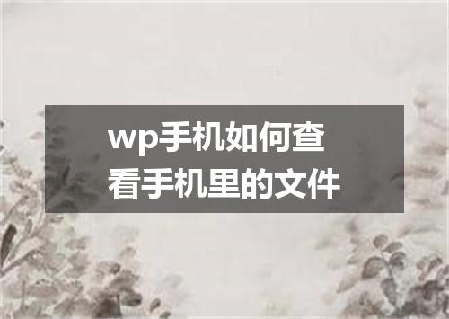 wp手机如何查看手机里的文件