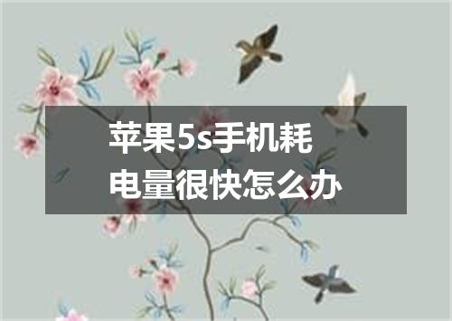 苹果5s手机耗电量很快怎么办