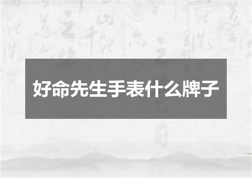 好命先生手表什么牌子
