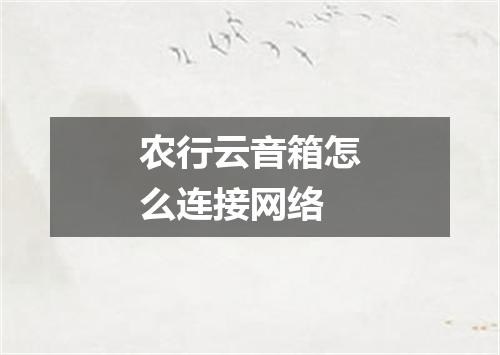农行云音箱怎么连接网络