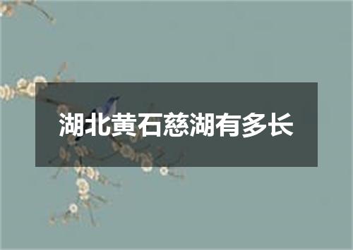 湖北黄石慈湖有多长