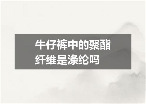 牛仔裤中的聚酯纤维是涤纶吗