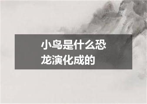 小鸟是什么恐龙演化成的