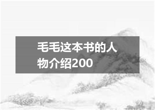 毛毛这本书的人物介绍200