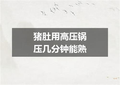 猪肚用高压锅压几分钟能熟