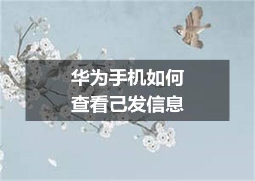 华为手机如何查看己发信息