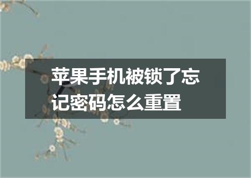 苹果手机被锁了忘记密码怎么重置