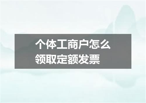个体工商户怎么领取定额发票