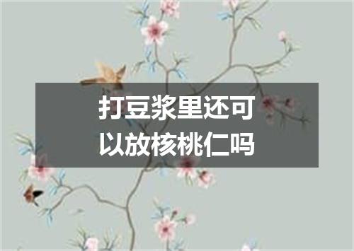 打豆浆里还可以放核桃仁吗