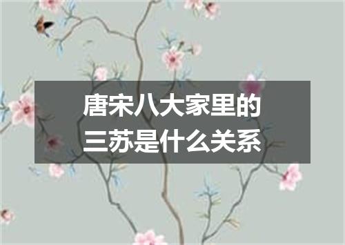 唐宋八大家里的三苏是什么关系