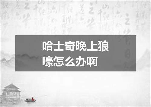 哈士奇晚上狼嚎怎么办啊