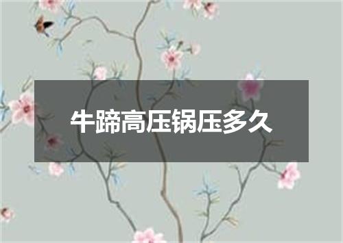 牛蹄高压锅压多久