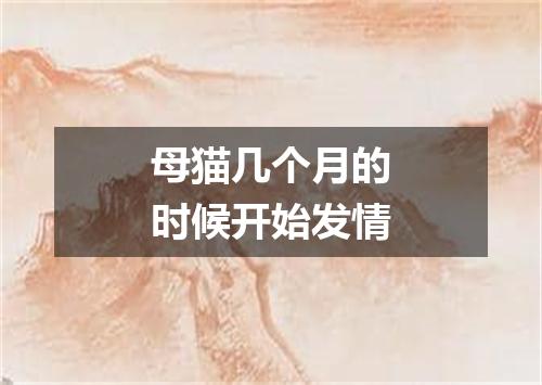 母猫几个月的时候开始发情