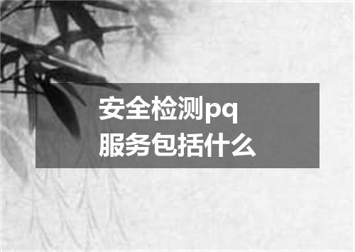 安全检测pq服务包括什么