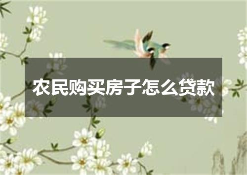农民购买房子怎么贷款