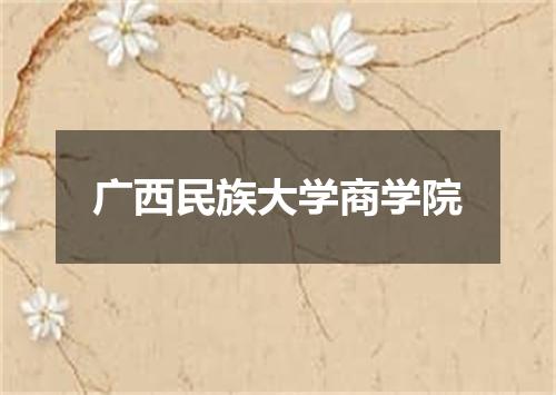 广西民族大学商学院