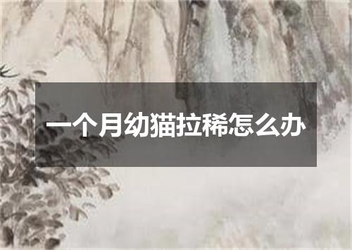 一个月幼猫拉稀怎么办