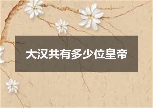 大汉共有多少位皇帝