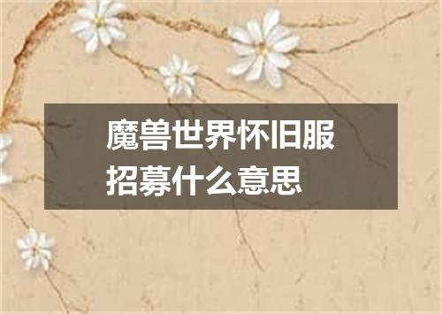 魔兽世界怀旧服招募什么意思