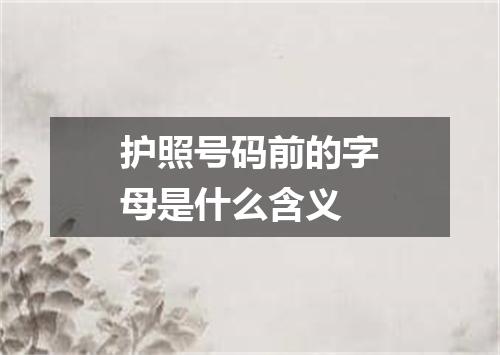 护照号码前的字母是什么含义