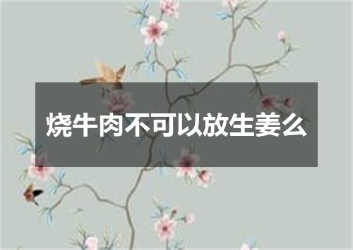 烧牛肉不可以放生姜么