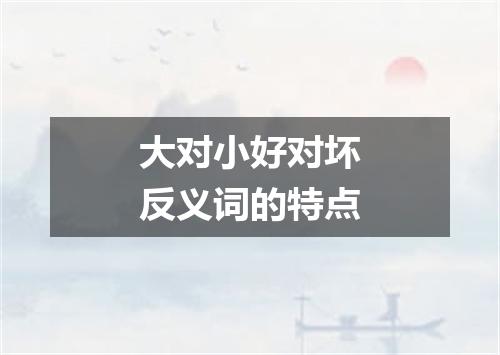 大对小好对坏反义词的特点
