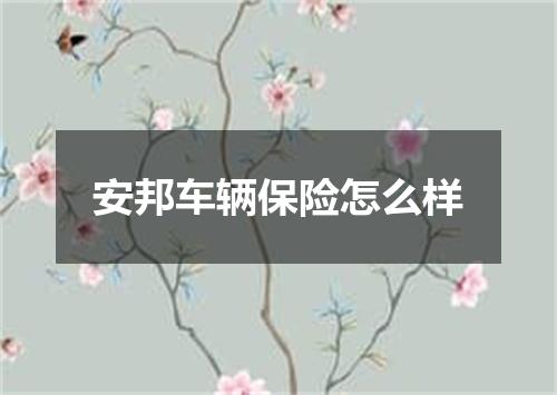 安邦车辆保险怎么样