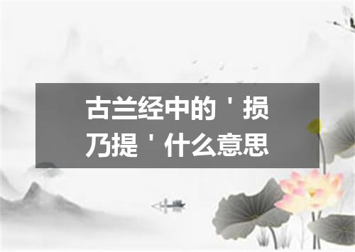 古兰经中的＇损乃提＇什么意思