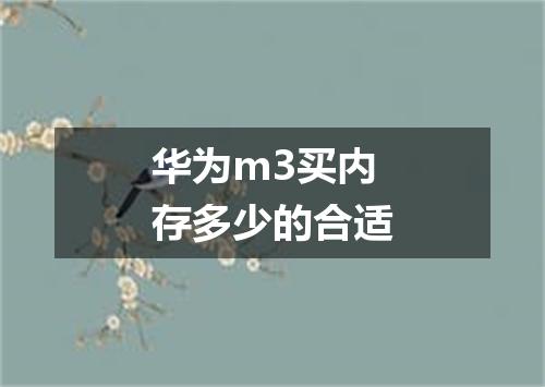 华为m3买内存多少的合适