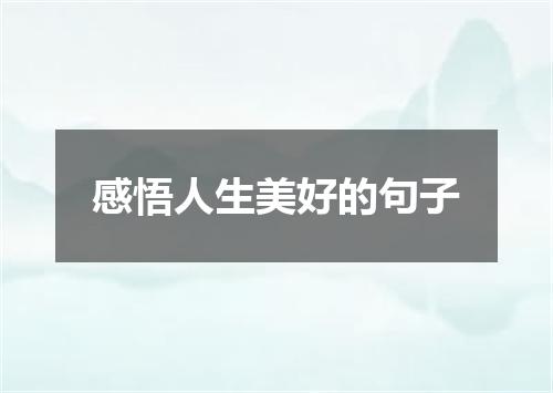 感悟人生美好的句子