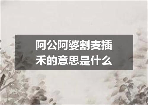 阿公阿婆割麦插禾的意思是什么