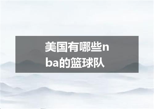 美国有哪些nba的篮球队