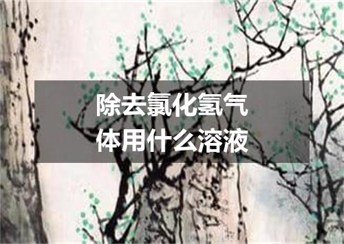 除去氯化氢气体用什么溶液