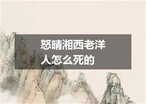 怒晴湘西老洋人怎么死的