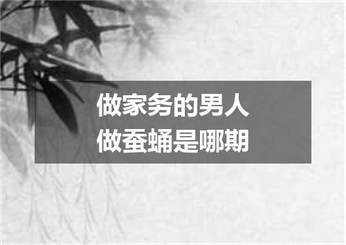 做家务的男人做蚕蛹是哪期