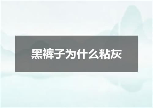 黑裤子为什么粘灰