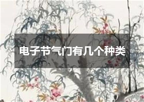 电子节气门有几个种类