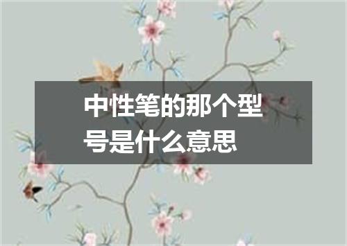 中性笔的那个型号是什么意思