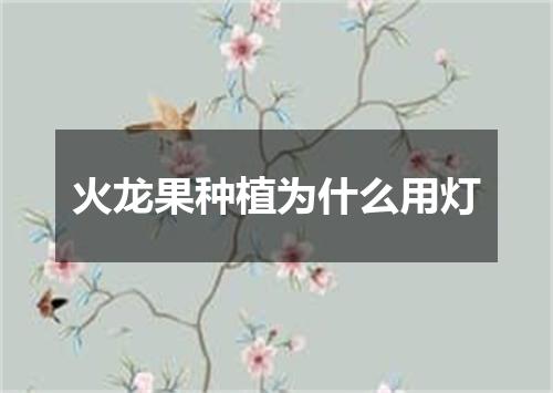 火龙果种植为什么用灯