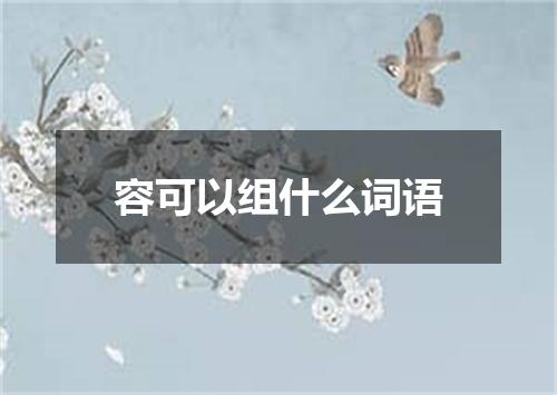 容可以组什么词语