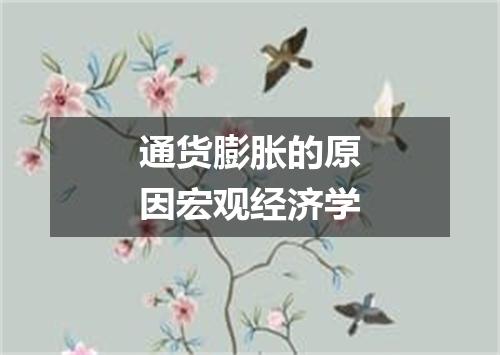 通货膨胀的原因宏观经济学