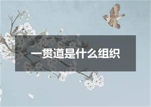 一贯道是什么组织