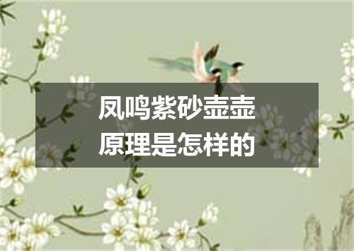 凤鸣紫砂壶壶原理是怎样的