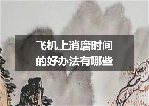 飞机上消磨时间的好办法有哪些