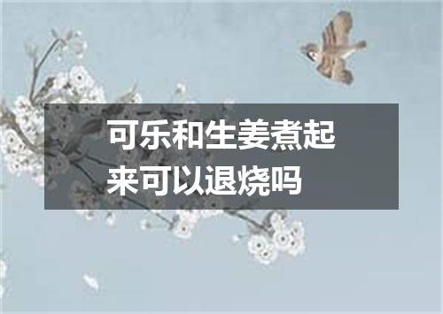 可乐和生姜煮起来可以退烧吗