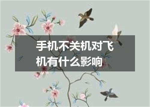 手机不关机对飞机有什么影响