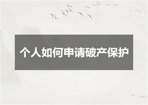 个人如何申请破产保护