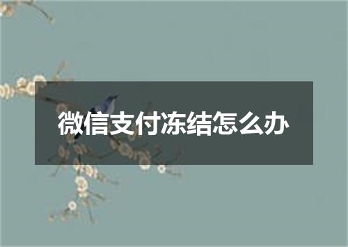 微信支付冻结怎么办