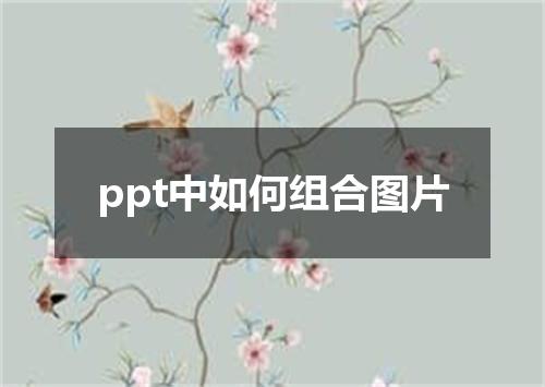 ppt中如何组合图片