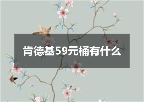 肯德基59元桶有什么